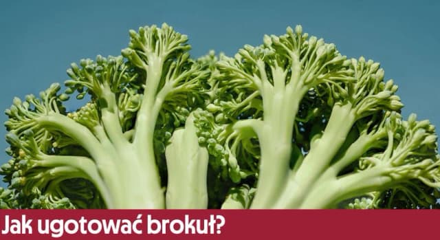 Jak ugotować brokuły do sałatki, aby były chrupiące i smaczne Jak ugotować brokuły do sałatki, aby były chrupiące i smaczne